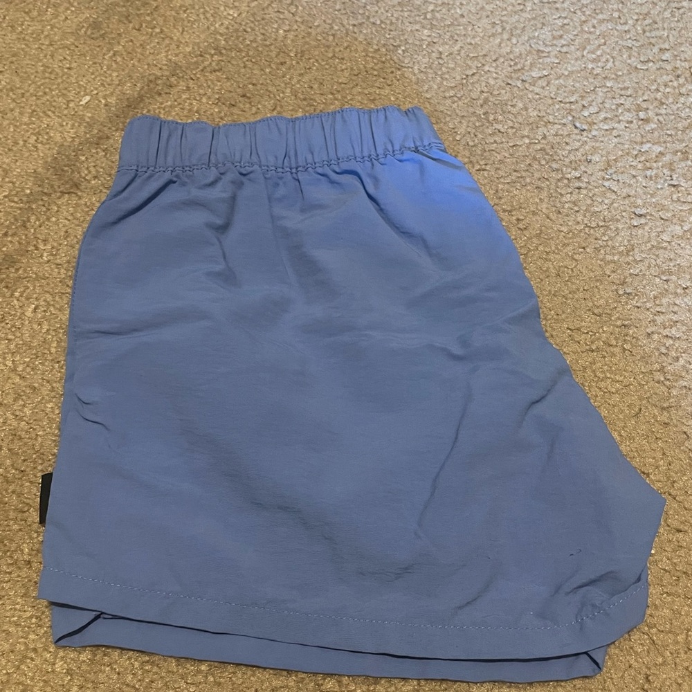 Patagonia Baggies Shorts